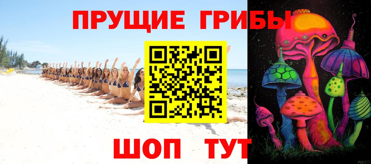 Анжеро-Судженск  Псилоцибиновые грибы мухоморы  Вход с VPN  Галлюциногенные грибы Psilocybine cubensis 